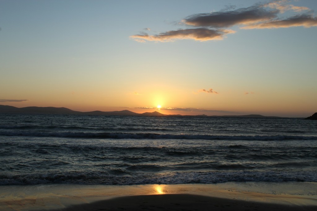 Φιστίκι Αιγίνης Πώς Καλλιεργείται, Ποια Είναι τα Οφέλη του & Τι το Κάνει Τόσο Ξεχωριστό