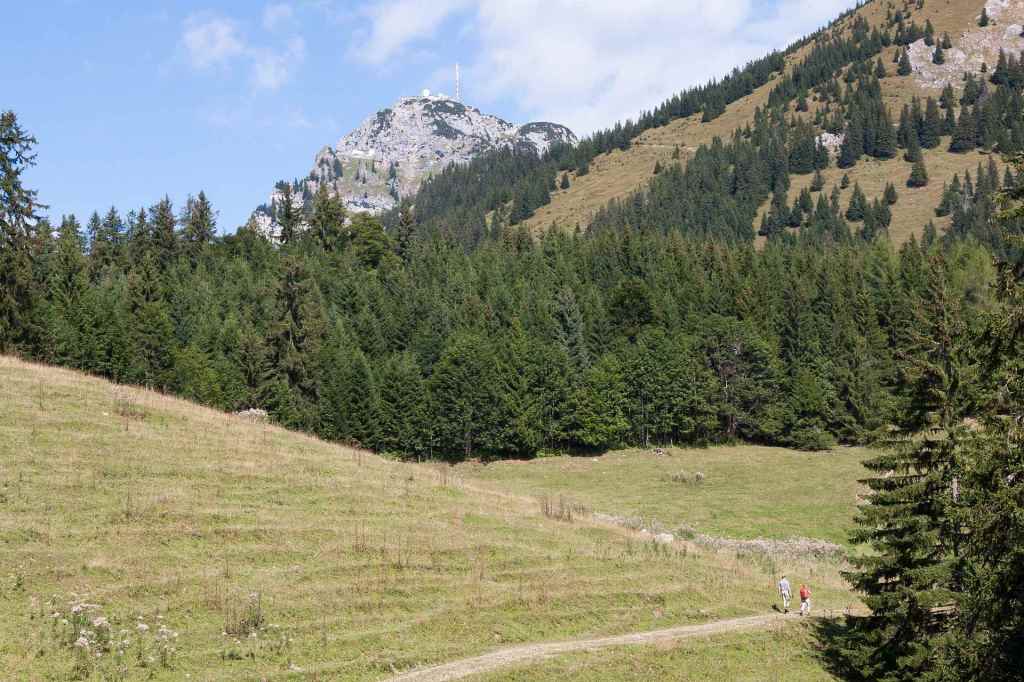 Οι οικονομικές δραστηριότητες σε δάση διευρύνονται