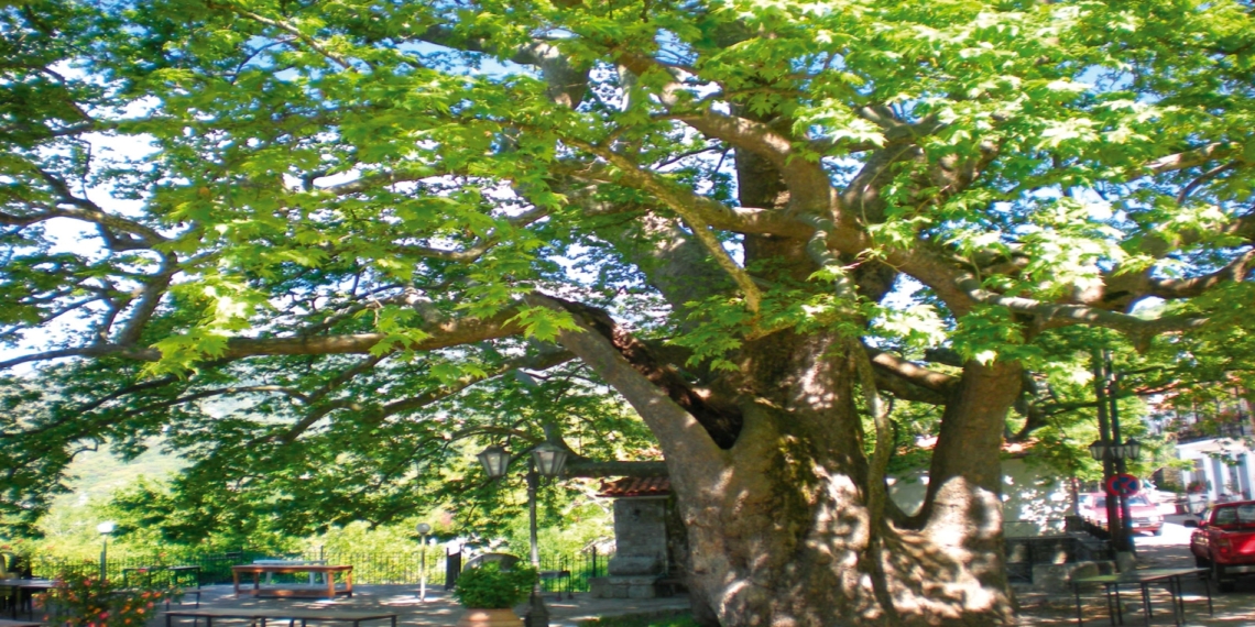 Peloponnese – Arna Village