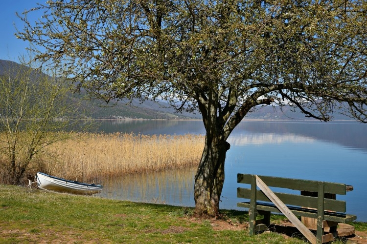 Πέντε παγκάκια που σου φέρνουν την ομορφιά της Ελλάδας στα πόδια σου