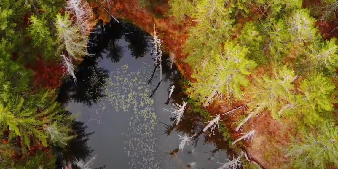 Ζορίκα: Η λίμνη με τα νούφαρα που μοιάζει με παραμύθι