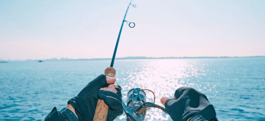 The Great Greek ‘Geld-Flow’: Why German Investors are Swapping Savings for Sun in 2026